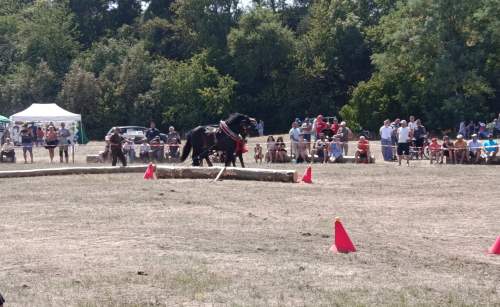IMG_20260808_135956